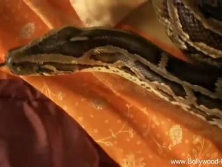 Bollywood nudes: gözel young lady teasing with snake bollywood style